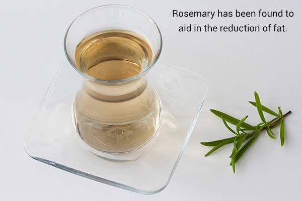 rosemary is a herb beneficial for weight loss