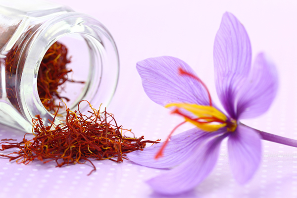saffron is a spice beneficial in arthritis management