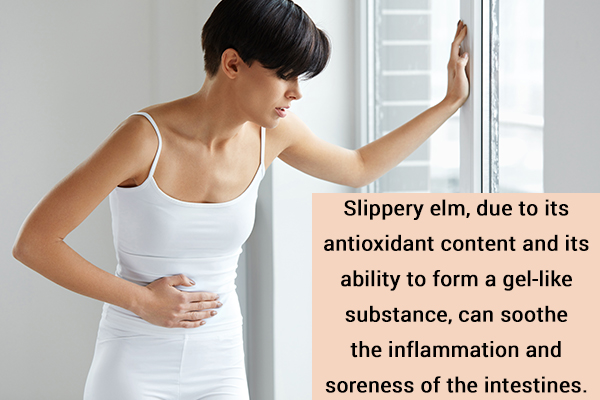 slippery elm can be used to treat digestive ailments