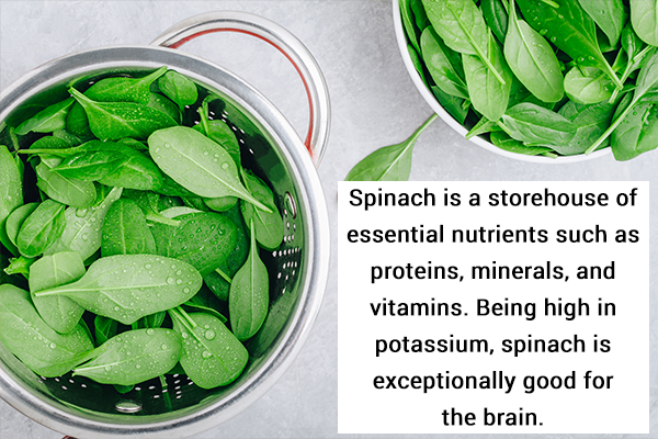 spinach contains nutrients beneficial for repairing neuronal damage