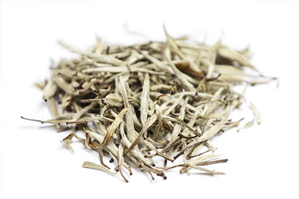 white tea can induce a considerable amount of weight loss