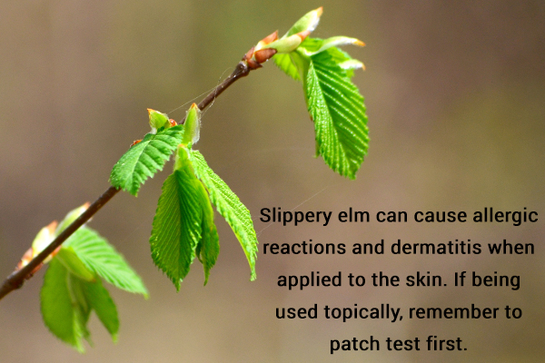 people who should avoid slippery elm usage