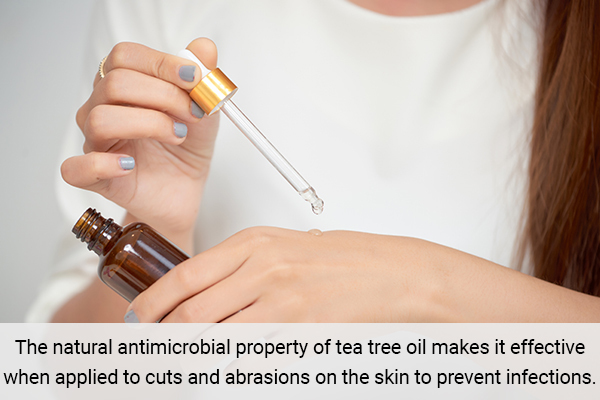 antimicrobial properties of tea tree oil works as a natural antiseptic