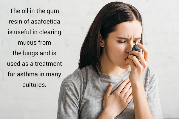 asafoetida consumption can help deal with asthma symptoms