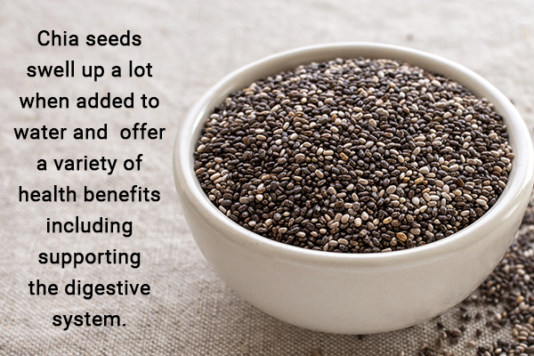 chia seeds are also a low calorie food option you can try