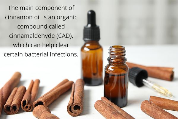 cinnamon can help clear infections and is a natural antibiotic