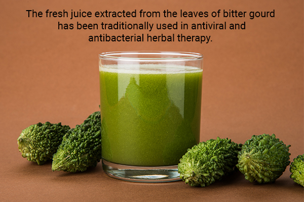 consume bitter gourd juice to recover faster from cholera