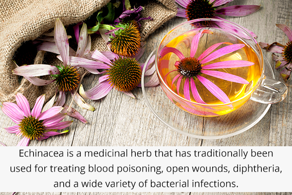 11 Best Natural Antibiotics And How To Use Them Emedihealth