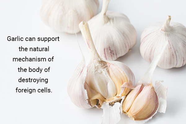 garlic can help detoxify toxins from your body