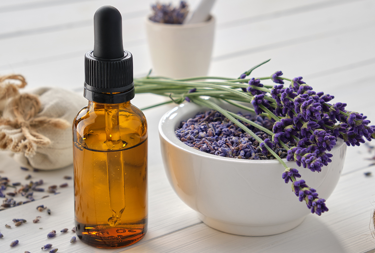 Is Lavender Essential Oil Okay For Dogs