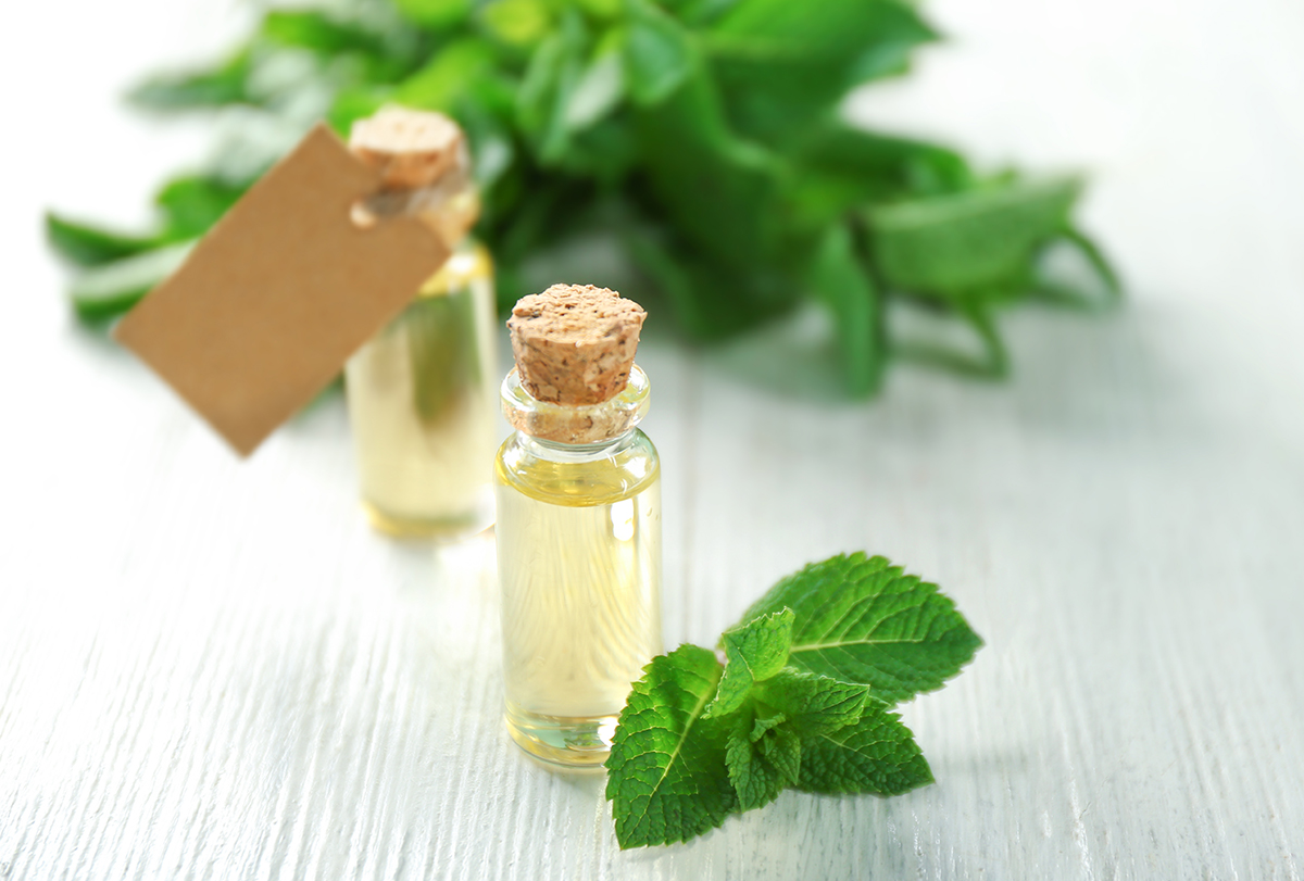 peppermint benefits and usage