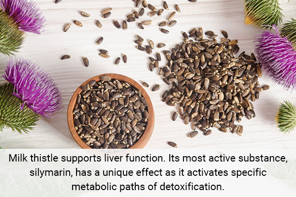 milk thistle is promotes liver function and helps in detoxification