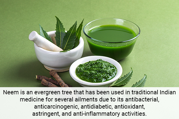 neem is a herb which can be used as a natural toothpaste alternative