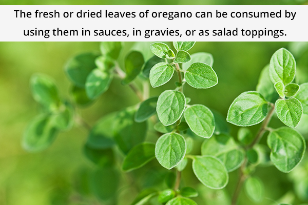 different ways to consume oregano