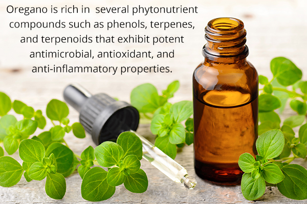 oregano/oregano oil acts as a natural antibiotic to fight infections