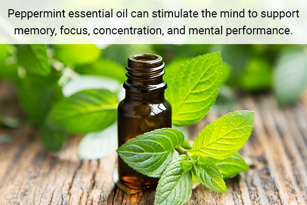 peppermint essential oil for boosting memory and brain function