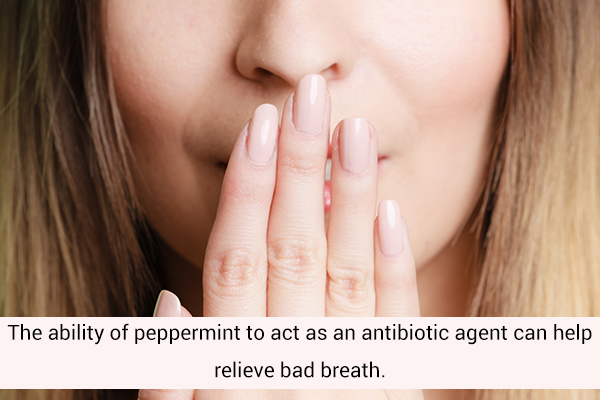 peppermint can work as a mouth freshener and relieve bad breath