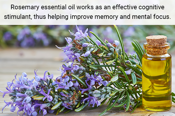 rosemary essential oil for improving brain function and memory