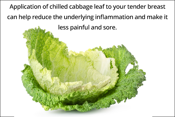 cabbage leaf usage can help reduce breast tenderness and pain