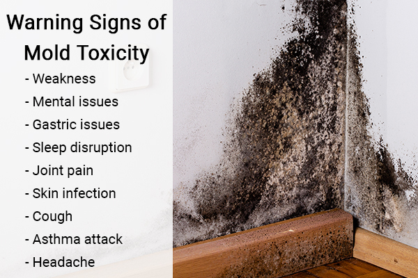 warning signs of mold toxicity