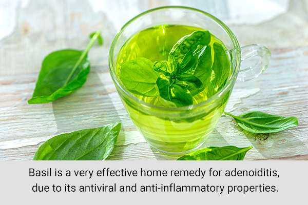basil tea can help provide relief from enlarged adenoids in children