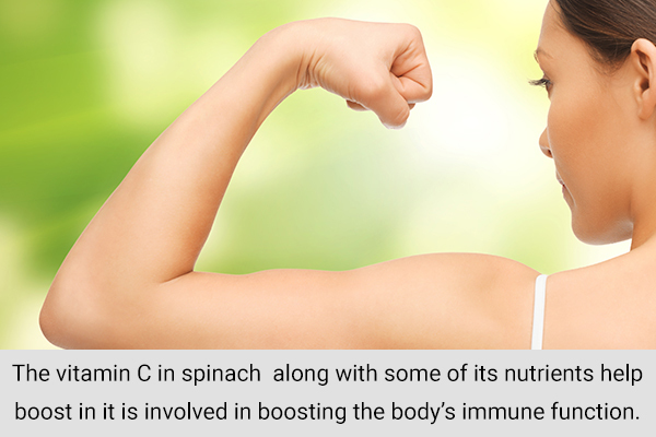 spinach consumption can help boost your immune system