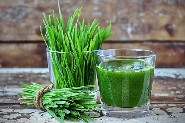 can wheatgrass be consumed everyday?