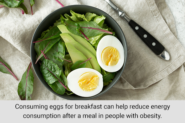 consuming eggs can help with weight loss when on budget
