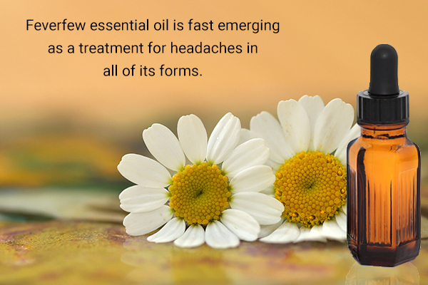 feverfew essential oil can help relieve all types of headaches