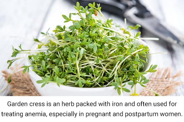 consume garden cress seeds to help improve anemia