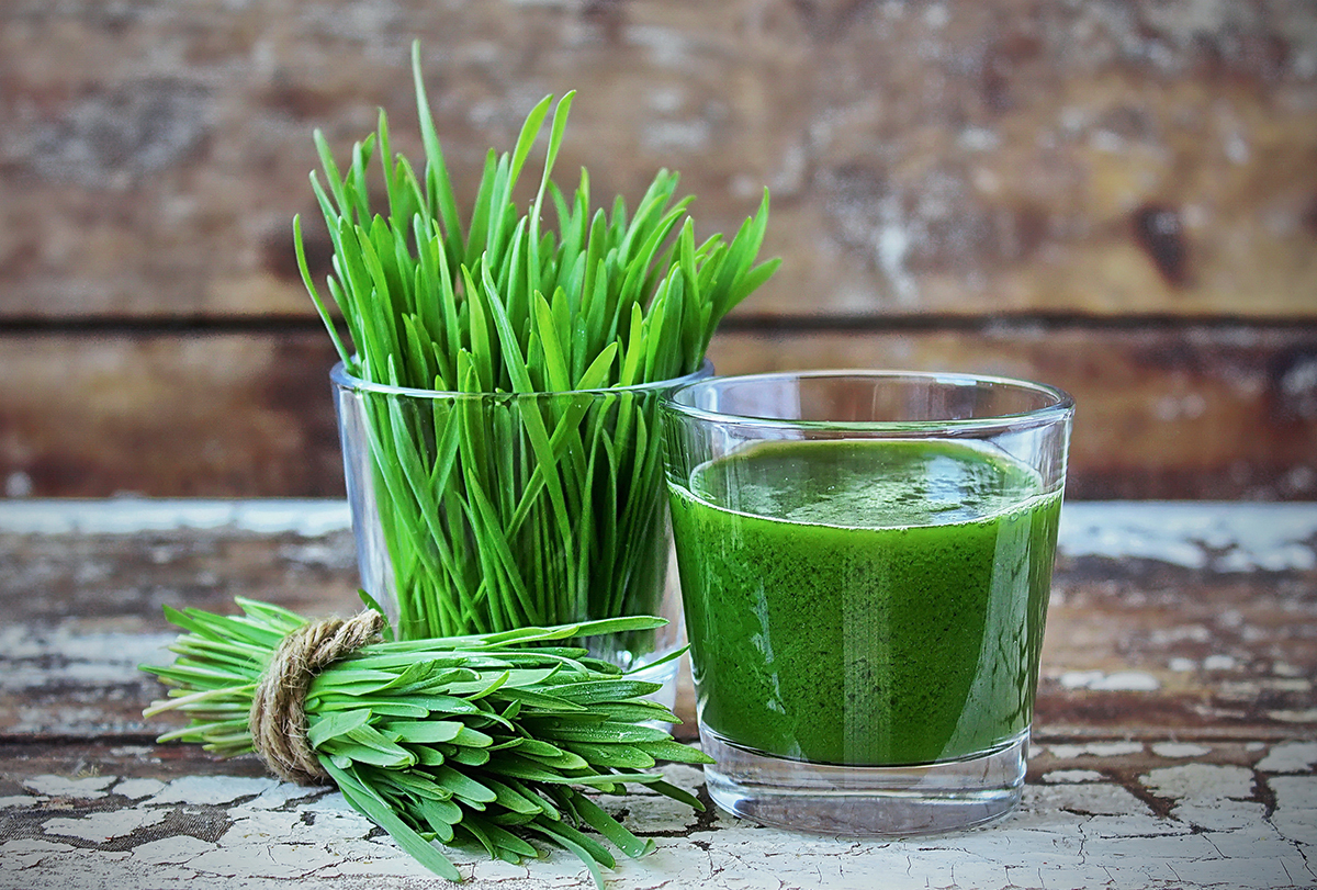 Benefits of 2024 grass juice