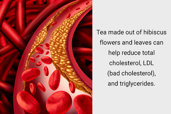 hibiscus usage can help reduce high cholesterol levels
