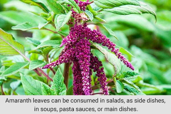 how to consume amaranth