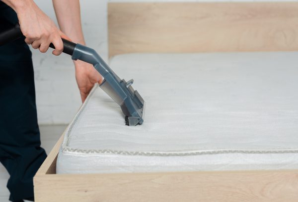 How to Prevent & Control a Bed Bug Infestation