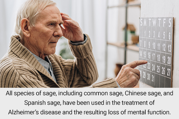 sage helps improve memory and brain health