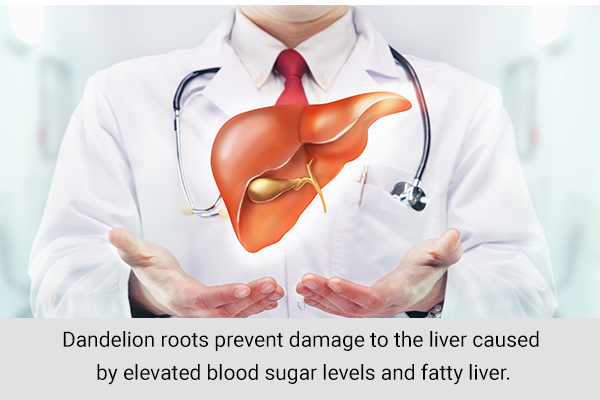 dandelion roots can help prevent liver damage