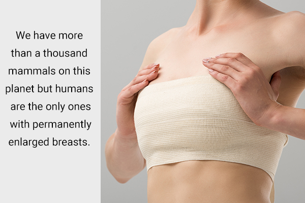 7 Facts About Your Breasts & Nipples - eMediHealth