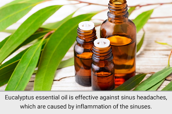 eucalyptus essential oil can help relieve headaches