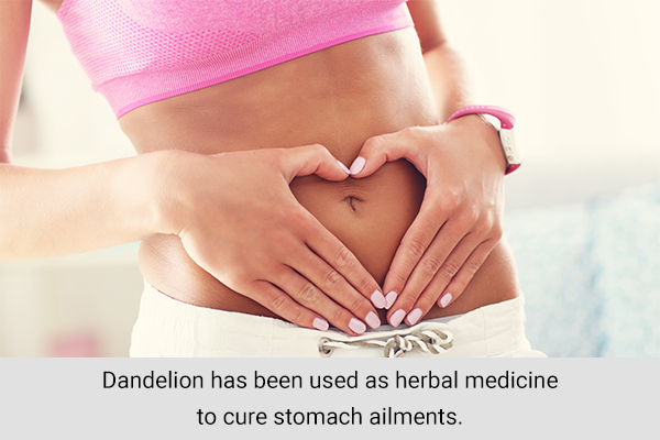 dandelion is also used as a herbal medicine for digestive distress