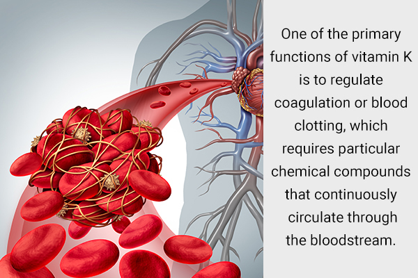 primary function of vitamin K is to regulate blood clotting
