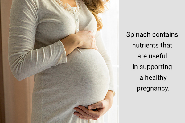 spinach can also help support a healthy pregnancy