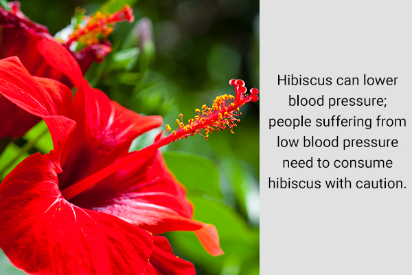 who should avoid hibiscus usage?