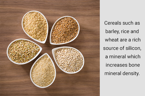 whole grains and cereal consumption can help strengthen your bones