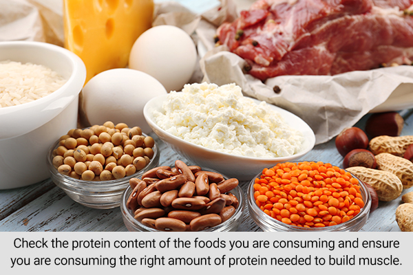 not eating enough protein can be a reason you are not gaining muscle