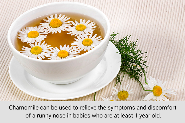 sipping on chamomile tea can help relieve runny nose in children