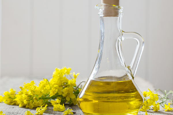 can we cook in oils rich in monounsaturated fatty acids?