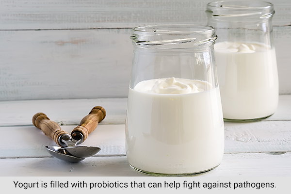 increasing yogurt consumption can help prevent yeast infections