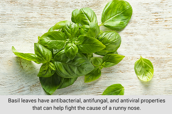 chewing on some basil leaves can help relieve signs of runny nose in children