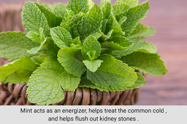 mint is a excellent taste enhancer and can be added to water to make it tasty