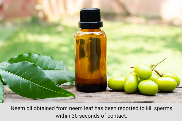 neem oil can also provide antifertility effects